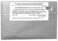 Image Associated With the Occurrence